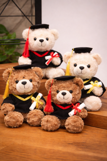 GRADUATION PLUSH COLLECTION